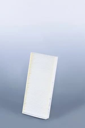 Fleetguard AF 26231